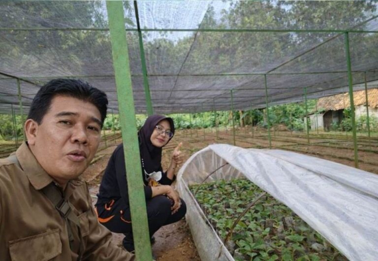kebon5edit